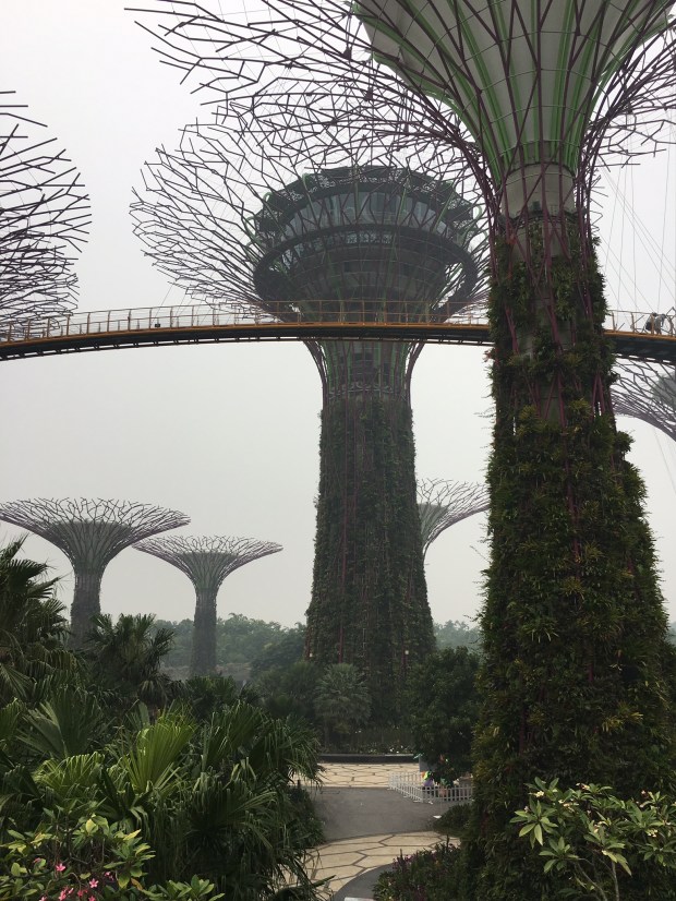 01679c1eeb9001d69ef26ef93255cfd32550f9743b